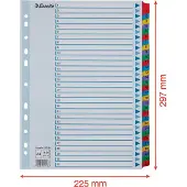 Esselte Register Mylar A4 1-31 flerfarget