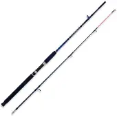 LINEAEFFE Caspian Pro Spinnestang