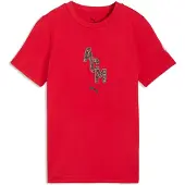 Puma AC Milan FtblCulture Tee Youth, Football, Red/Black, 13-14Y