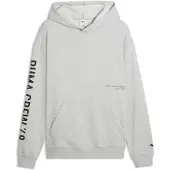 Puma Graphics Training Hoodie Men, Men, Light Gray Heather, S