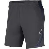 Nike Dri-fit Academy 20 Shorts