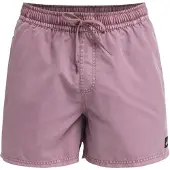 Quiksilver Everyday Surfwash Volley 15 Boardshorts grønn
