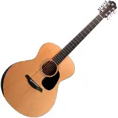 Furch Guitars Blue Deluxe Gc-CM a
