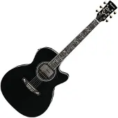 Ibanez AC391RCE Black High Gloss Top Natural High Gloss Back and Sides