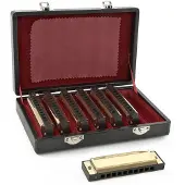 Gear4Music Gullfargede Munnspill for Blues Sett fra