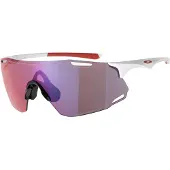 Oakley Mann Cybr Dyno Solbriller