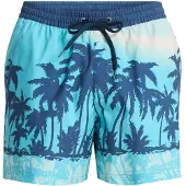 Quiksilver Everyday Printed Volley 15´´ Badebukse