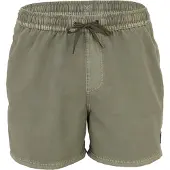 Quicksilver Everyday Surfwash Volley 15 Boardshorts grønn