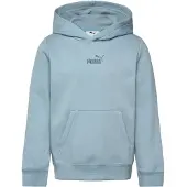 Puma Essentials No.1 Logo Fleece Hoodie Youth, Winter, Seafoam, 9-10Y
