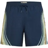 O'Neill O'Riginals Longboard 15" Boardshorts blå