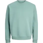 Jack & Jones Bradley Plus Size Collegegenser