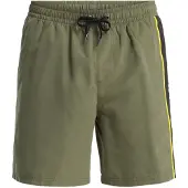 Quiksilver Everyday Clicker Volley 17 Boardshorts grønn