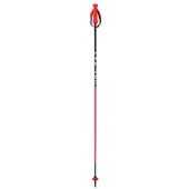 Fischer Rd 16 Sl Pro Spaserstokker