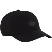 Dickies Duck Canvas Dad Caps svart