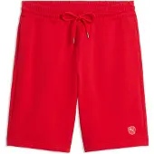 Puma Essentials Elevated 9" Shorts Men, , Red, L