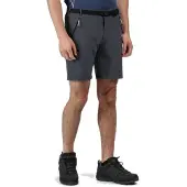 Regatta Xert Stretch Iii Shorts