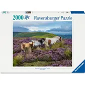 Ravensburger Ville Hester 2000p (12001751) Puslespill