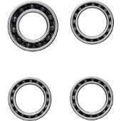 Ceramicspeed Zipp-5 Coated Lager