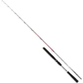 Renzo Valdieri Reggia Jigging Stang