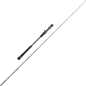 Penn Batallion Solid Jigging Stang