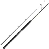 Penn Wrath Ii Boat Spinnestang