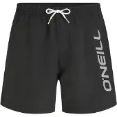 O'Neill Logo 16'' Boardshorts svart