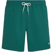 O'Neill Vert 16'' Boardshorts grønn