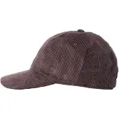 Carhartt WIP Harlem Caps grå
