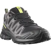 Salomon XA PRO 3D V9 GTX, Terrengsko, Herre, Black/Dark Gull Gray/Acid Lime