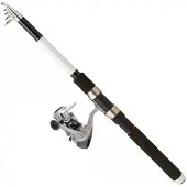 Daiwa Sweepfire Tele+q830fm Spinnende Combo