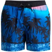 Quiksilver Everyday Printed Volley 15 Boardshorts blå