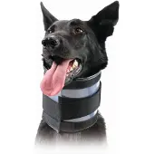 Kvp Bite Free Hundehalsbånd