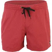 Quiksilver Everyday Deluxe Volley 15 Boardshorts rød