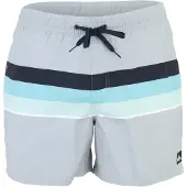 Quiksilver Everyday Printed Volley 15´´ Badebukse