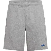 O'Neill Essentials 90'S Sweat Shorts grå