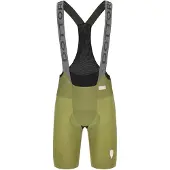 Q36.5 Dottore Pro Sykkelshorts