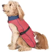 Dog Gone Smart Acacia Regnfrakk Til Hund