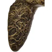 LINDBY vegglampe Nirvathia, 35 cm, giraff, messingfarget
