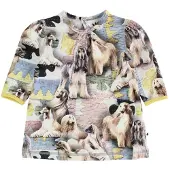 Molo Kjole - Caroline - Dogtastic - - 62 - Kjole