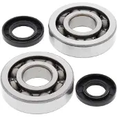 All Balls Kawasaki Kx250 2002-2008 Veivaksel Lager Og Tetningssett