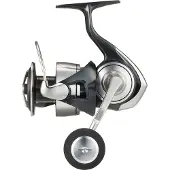 Daiwa Certate G 24 Sw Fiske Spinnehjul
