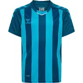 Hummel Core Xk Striped Kortarmet T-skjorte