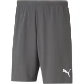 Puma Teamrise Shorts