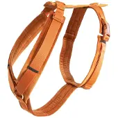 Kentucky Active Velvet Hundesele