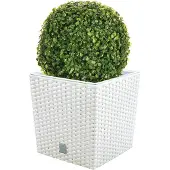 Wellhome Prosperplast Rato 32l S Set Blomsterpotte 2 Enheter