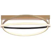 Q-SMART-HOME Paul Neuhaus Q-Beluga LED-taklampe, messing