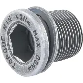 Campagnolo Potenza Veivbolt