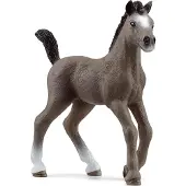 Schleich Horse Club - Selle Français-føL - H: 8 cm - 13957 - - OneSize - Lekedyr