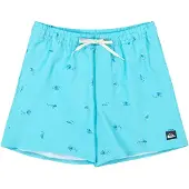 Quiksilver Stretch Printed Volley 16 Boardshorts mønster