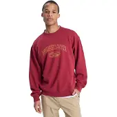 Quiksilver New Iconic Collegegenser